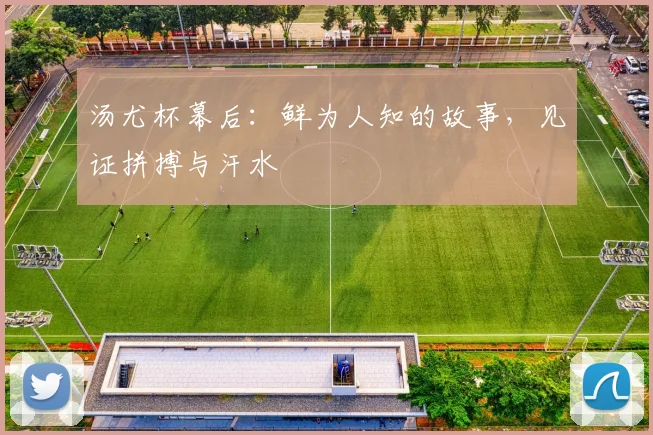 汤尤杯幕后:鲜为人知的故事,见证拼搏与汗水