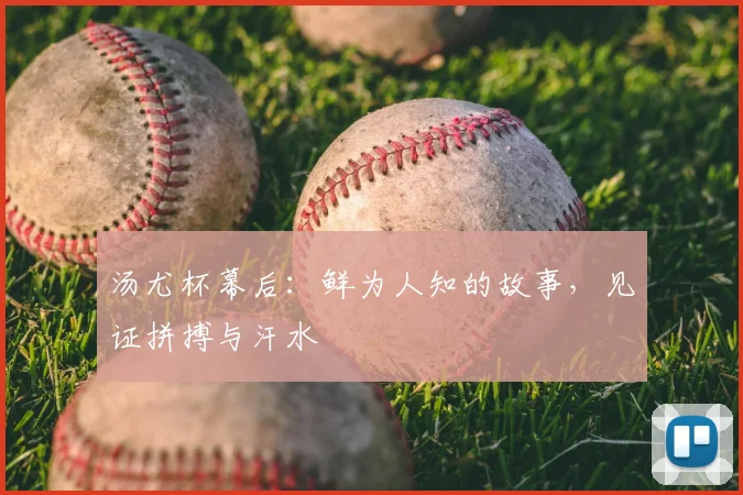 汤尤杯幕后:鲜为人知的故事,见证拼搏与汗水